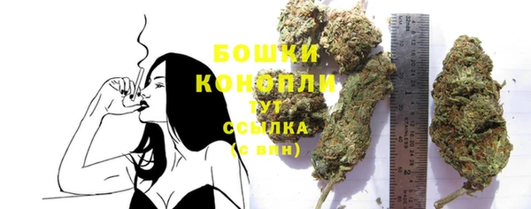 СК Бородино