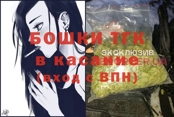 PSILOCYBIN Бронницы