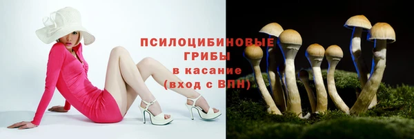 трава Верея
