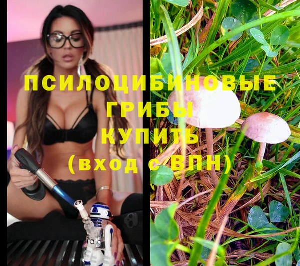 PSILOCYBIN Бронницы