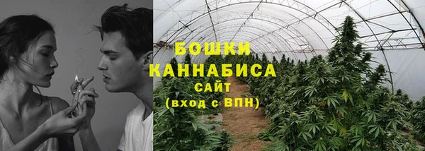 СК Бородино