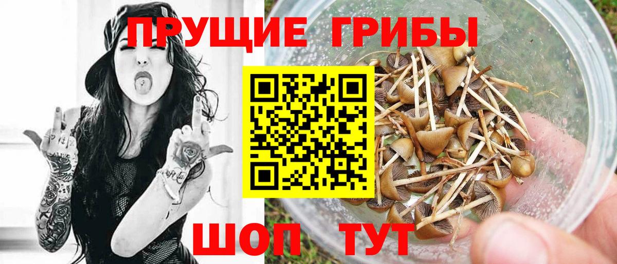 Псилоцибиновые грибы Cubensis  Вход с VPN  Рузаевка 