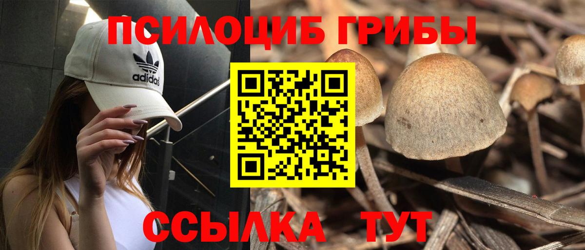 Псилоцибиновые грибы Psilocybine cubensis Рузаевка